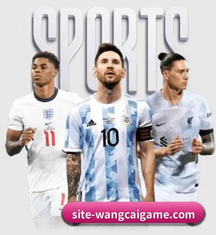 五大服务分区,信息按项目分类